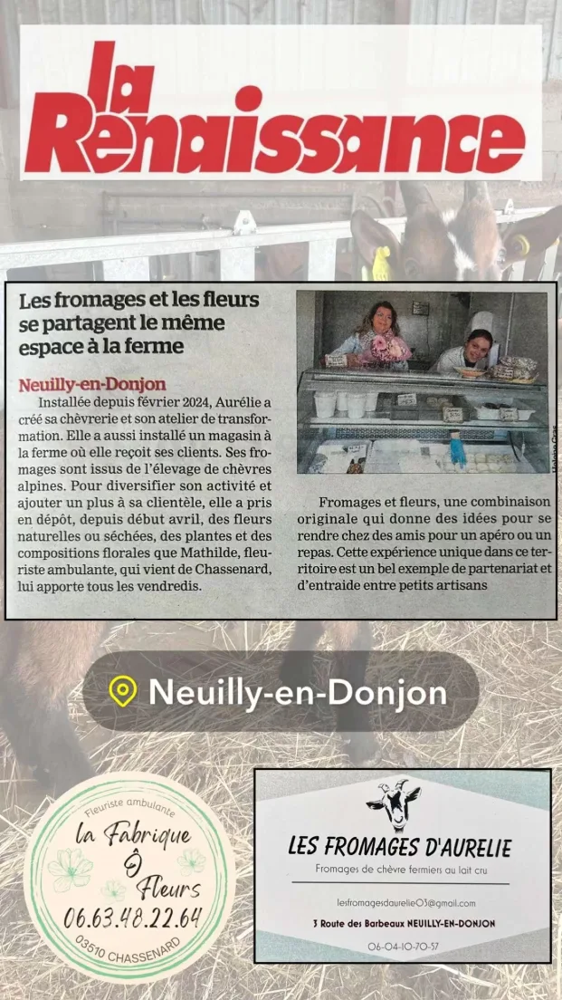 25-04-26-11-50-35-3866